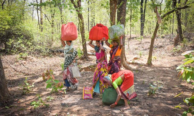 How Community Forest Rights Empowered Gondia’s Women And Youth.